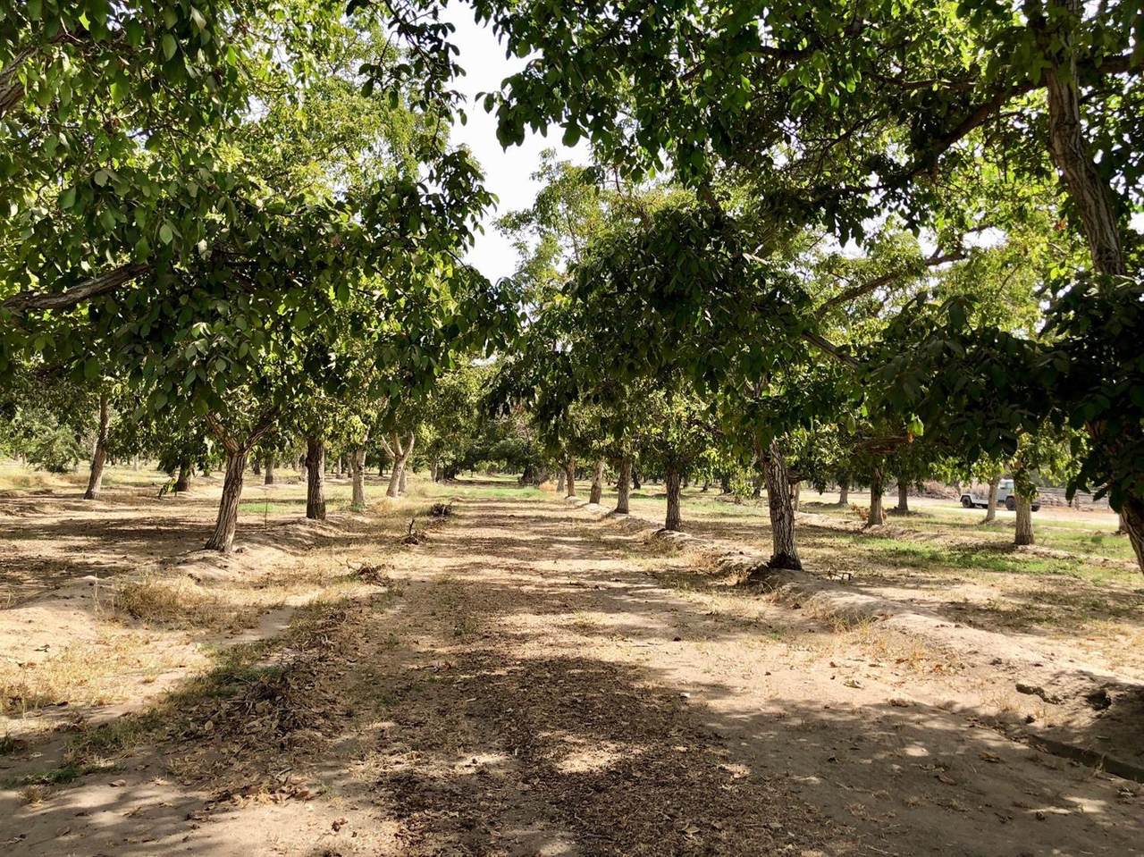 0 Visalia Parkway - Photo 1