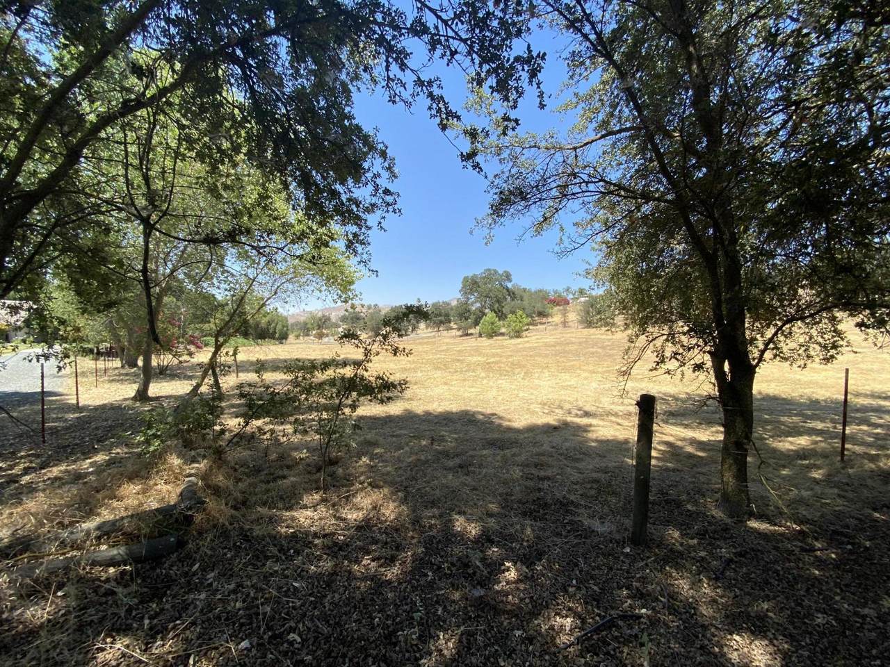 33359 Tule Oak Drive - Photo 1