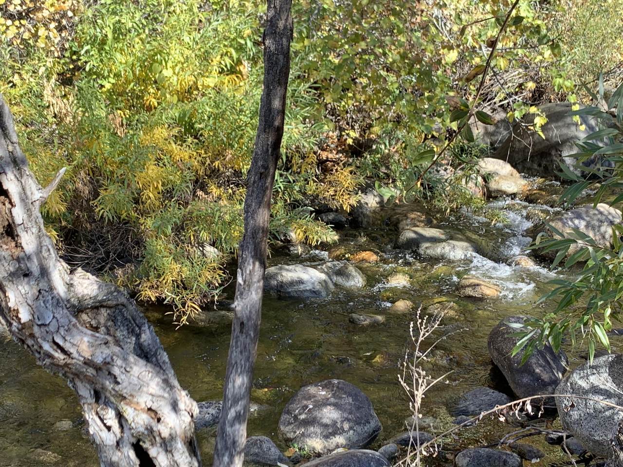 Grouse Valley Road - Photo 1
