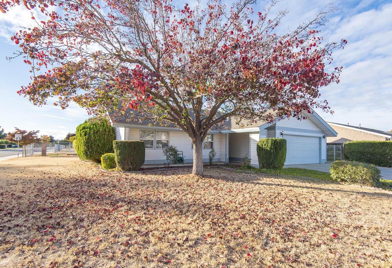 800 B Street - Photo 1