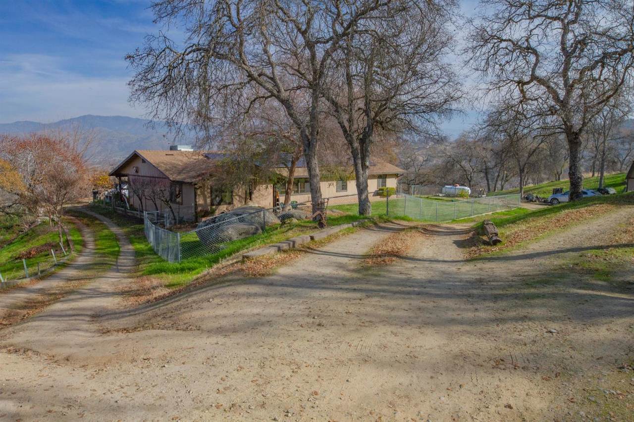 33180 Coyote Lane - Photo 1