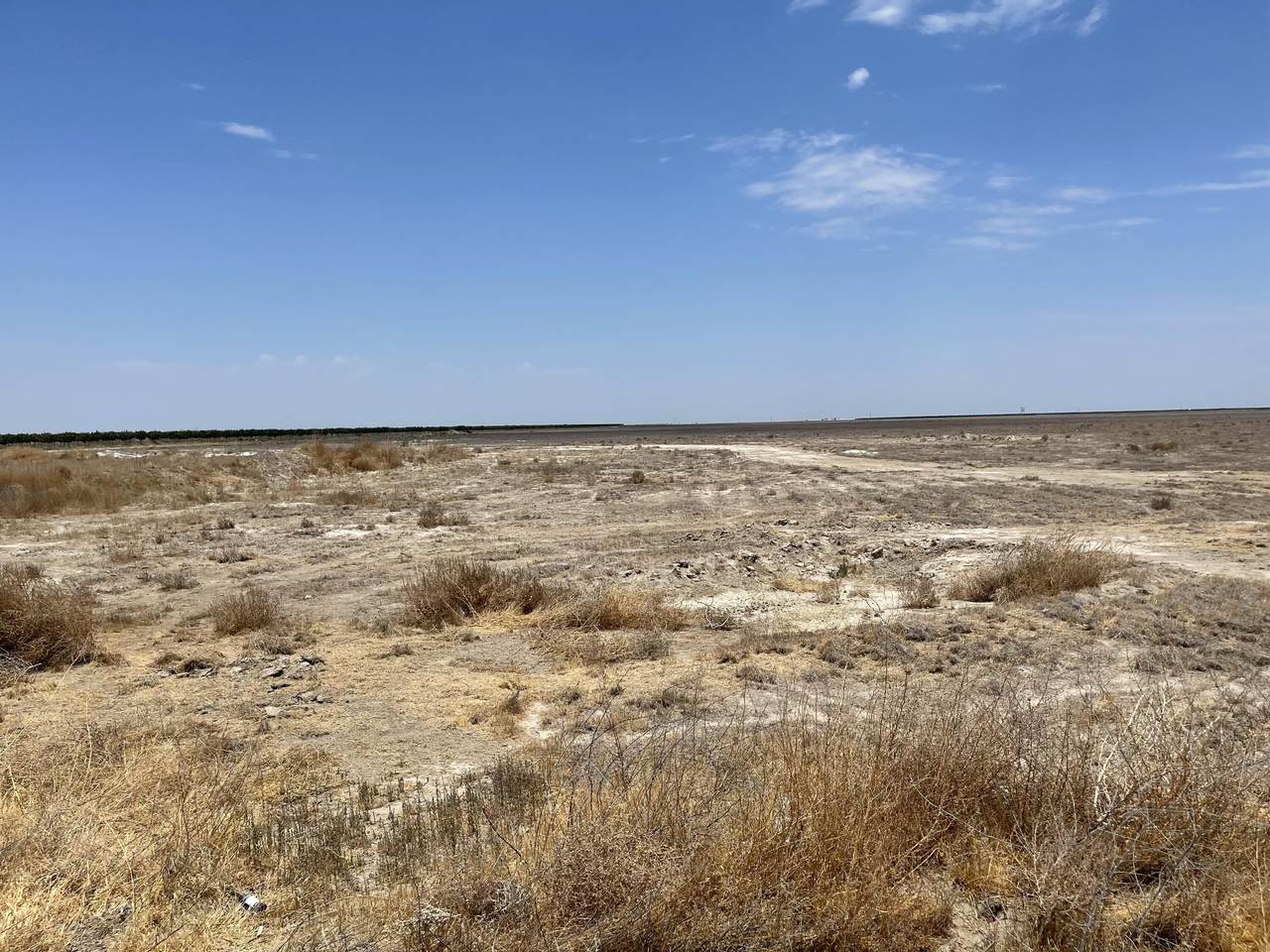County Line Road - Photo 1