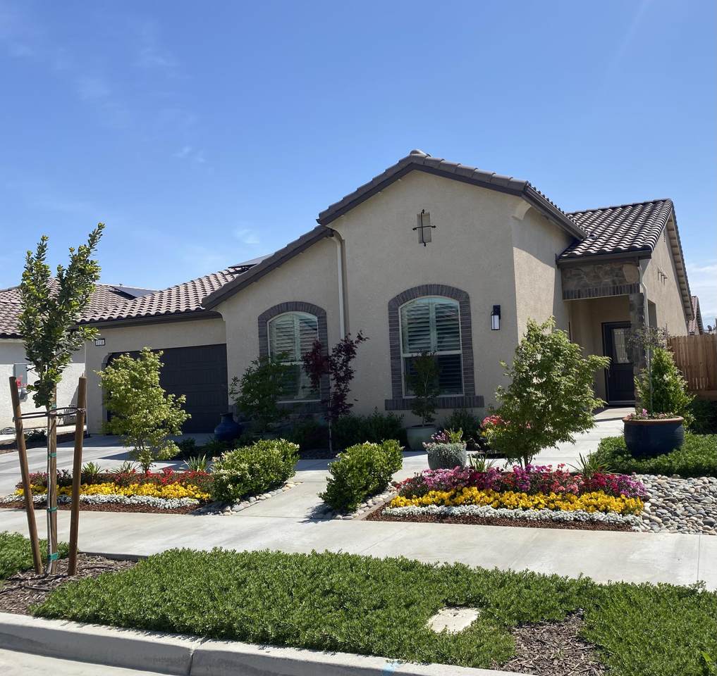 1138 Crumal Street - Photo 1