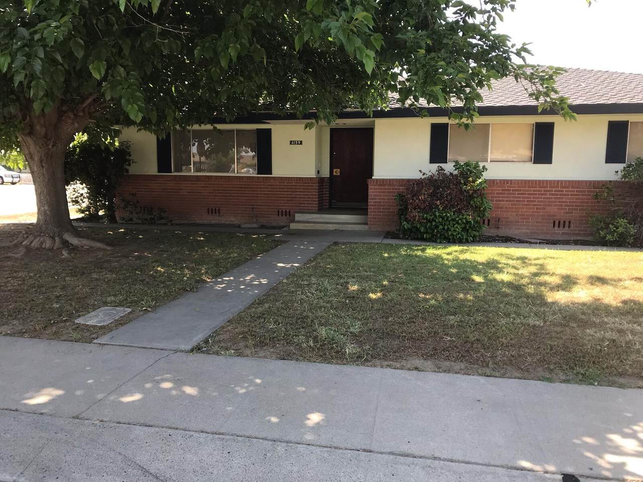 1139 Mountain Street - Photo 1