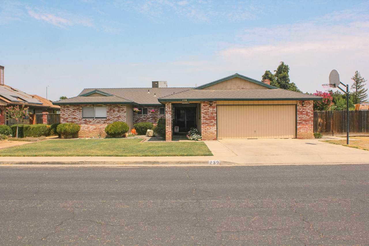 239 Linzmeier Drive - Photo 1
