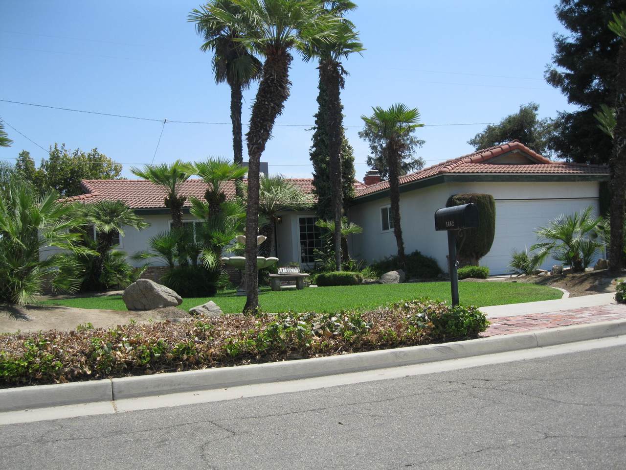 1462 Williams Street - Photo 1