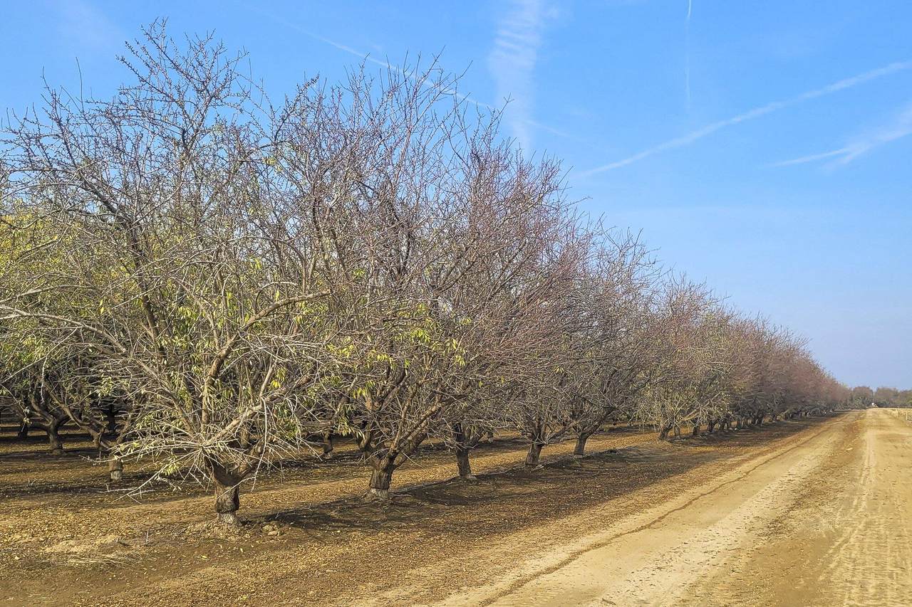 Avenue 136 - Photo 1