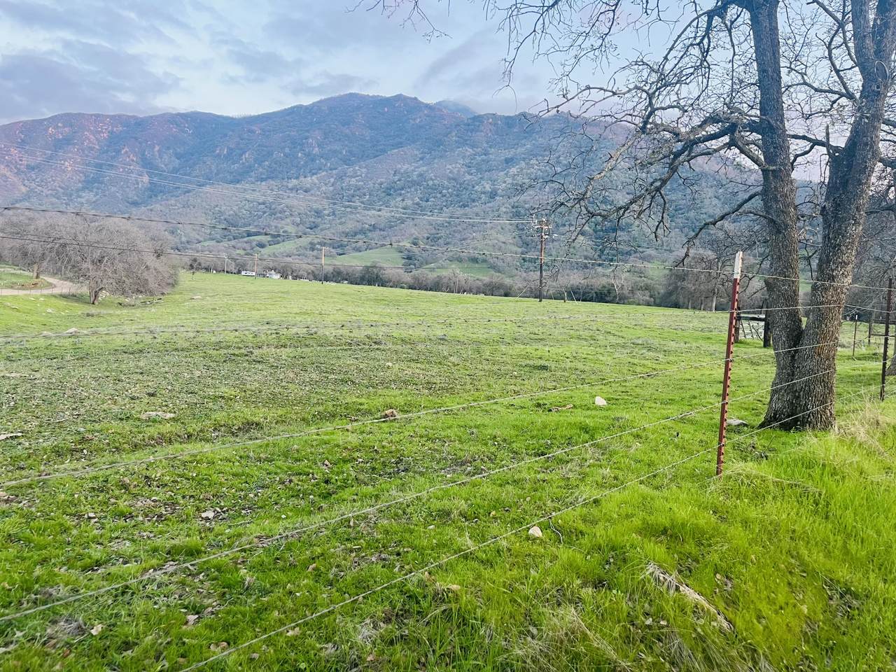 Cow Mountain Road Road - Photo 1