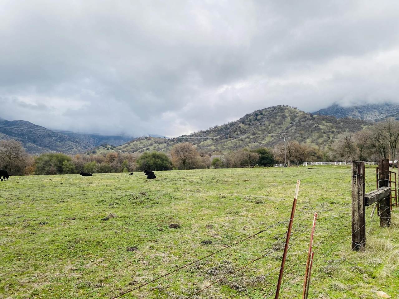 Cow Mountain Road Road - Photo 1