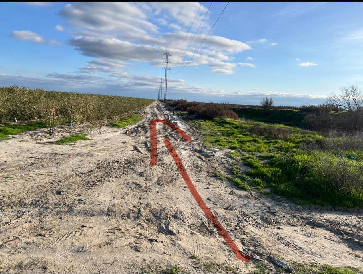 Lot 114 Track #1226 - Photo 1