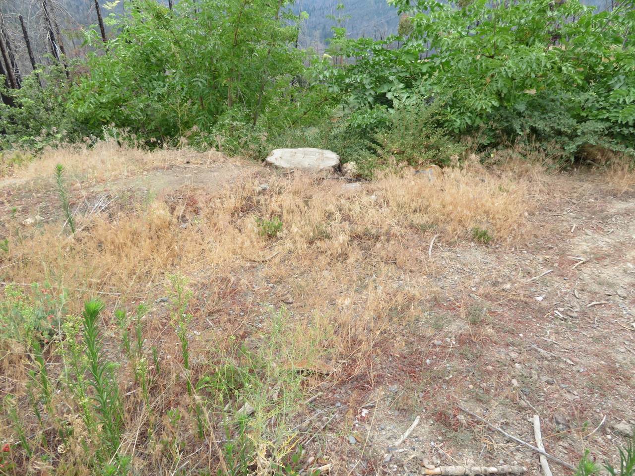 53009 Pine View Drive - Photo 1