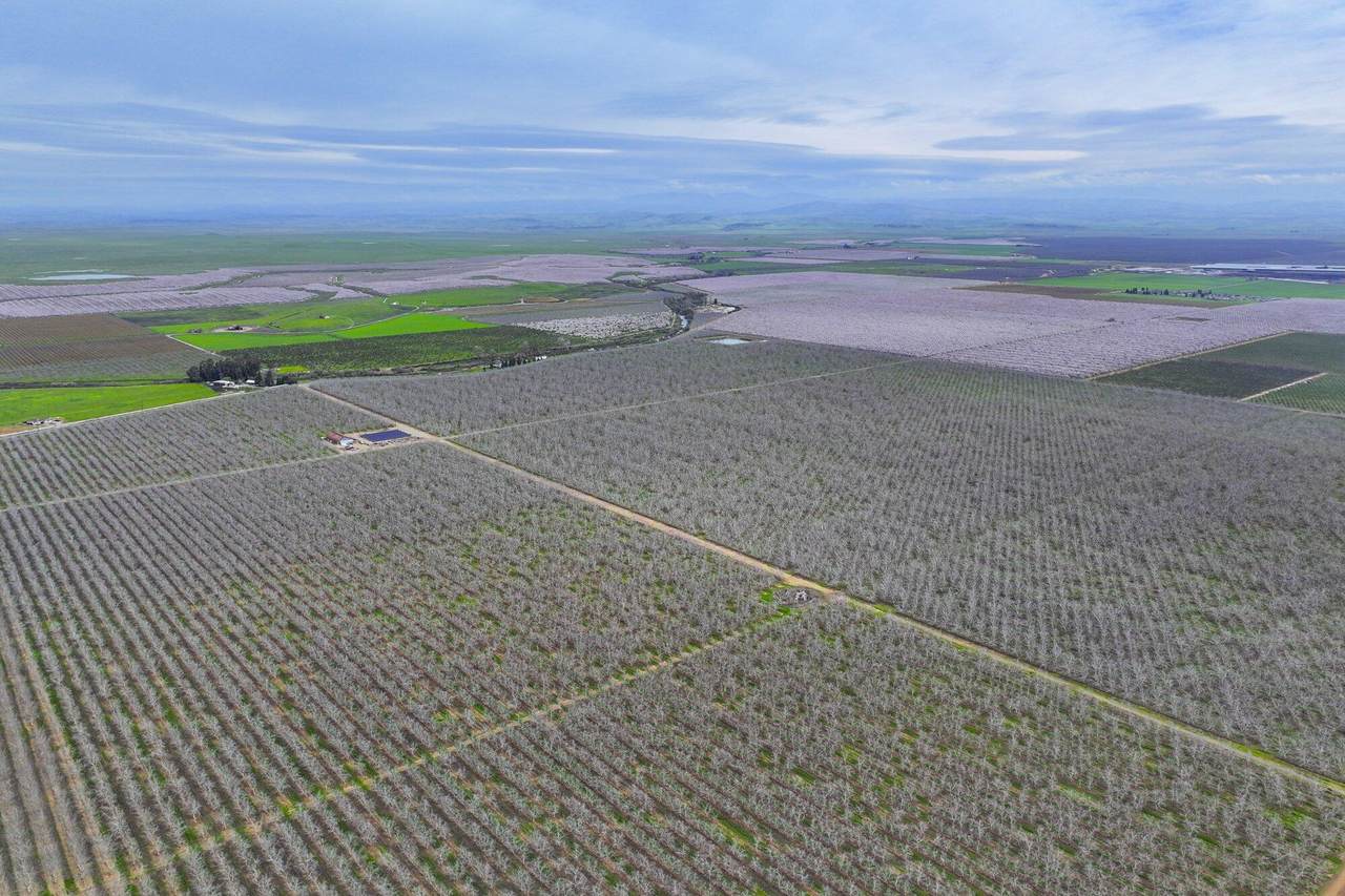  South Bear Creek Drive - Photo 1