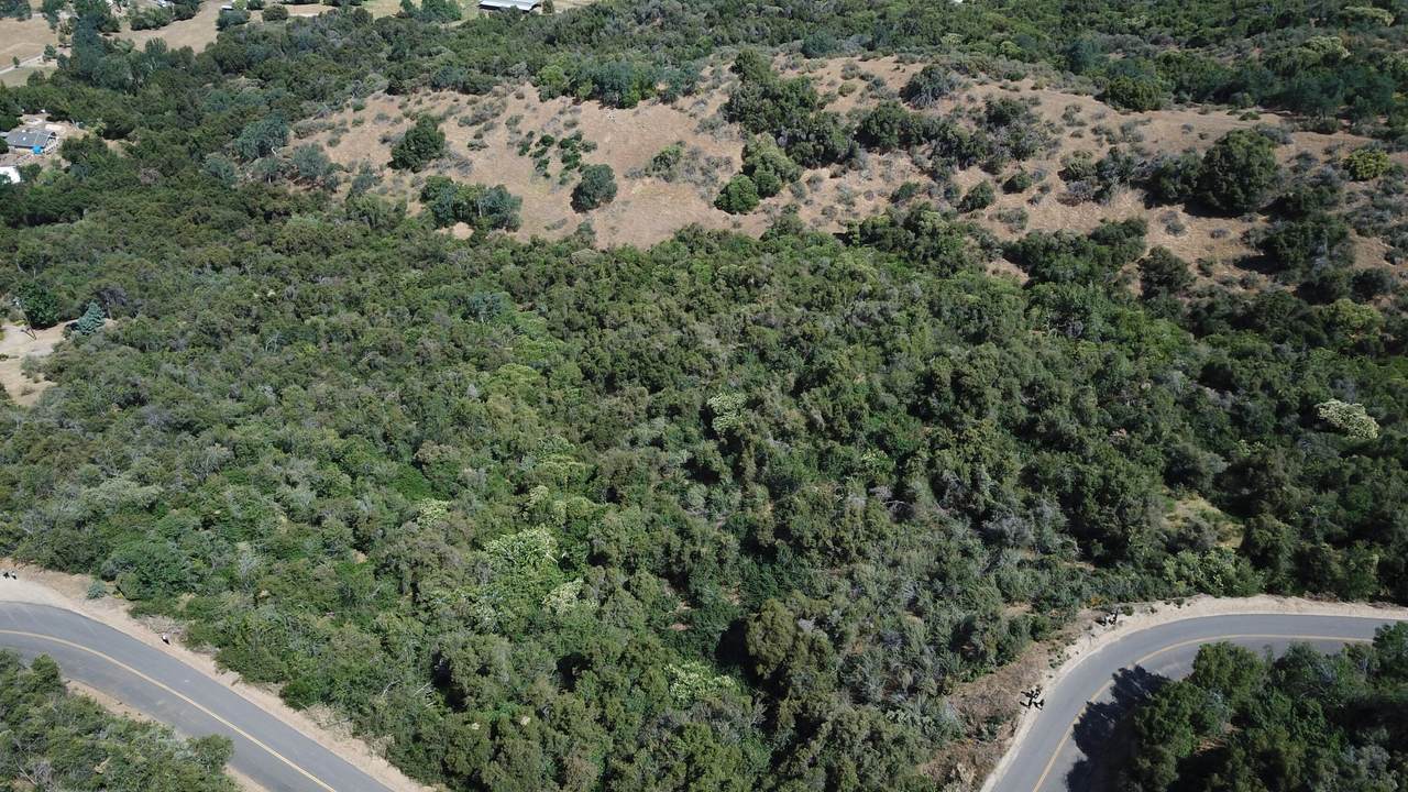 15 Acres - Photo 1