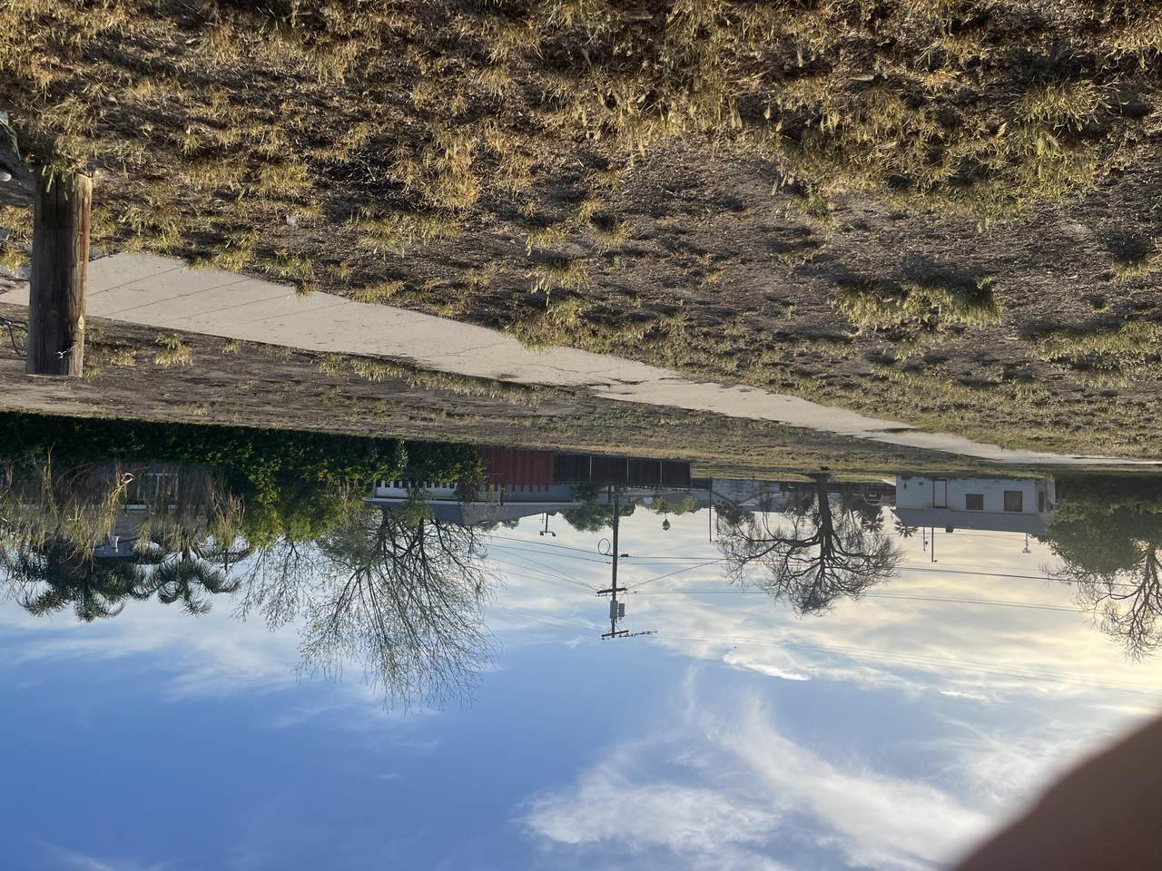 271 Lemoore Avenue - Photo 1