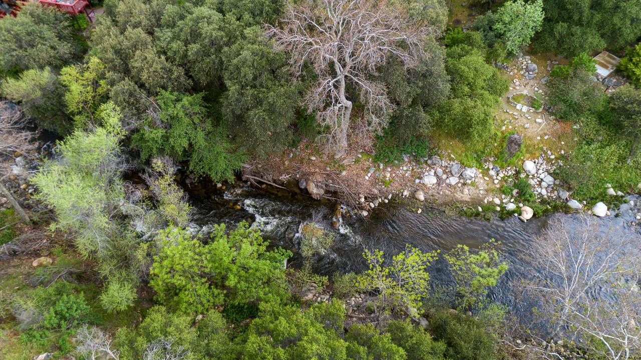 South Fork Drive - Photo 1