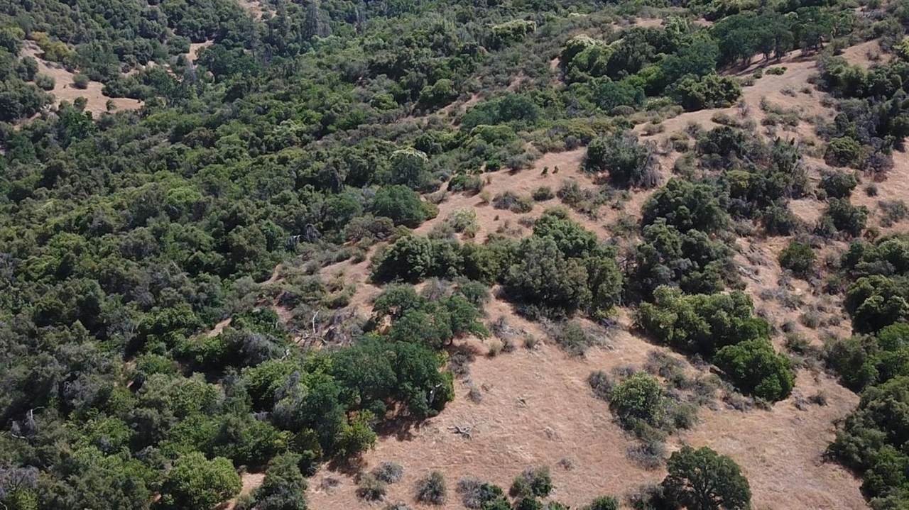 8 Acres - Photo 1