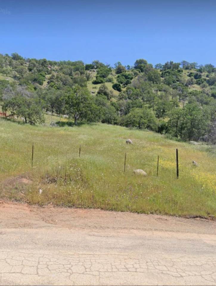 Lot 462 Iris Road - Photo 1