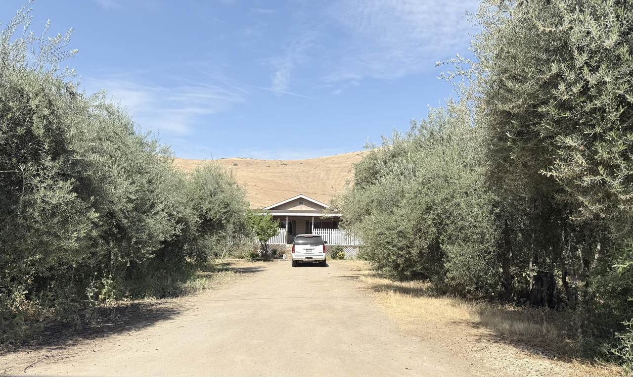 36189 Road 196 - Photo 1