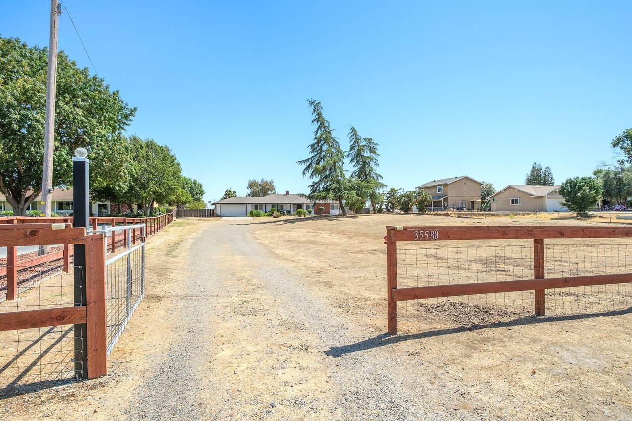 35580 John Albert Drive - Photo 1