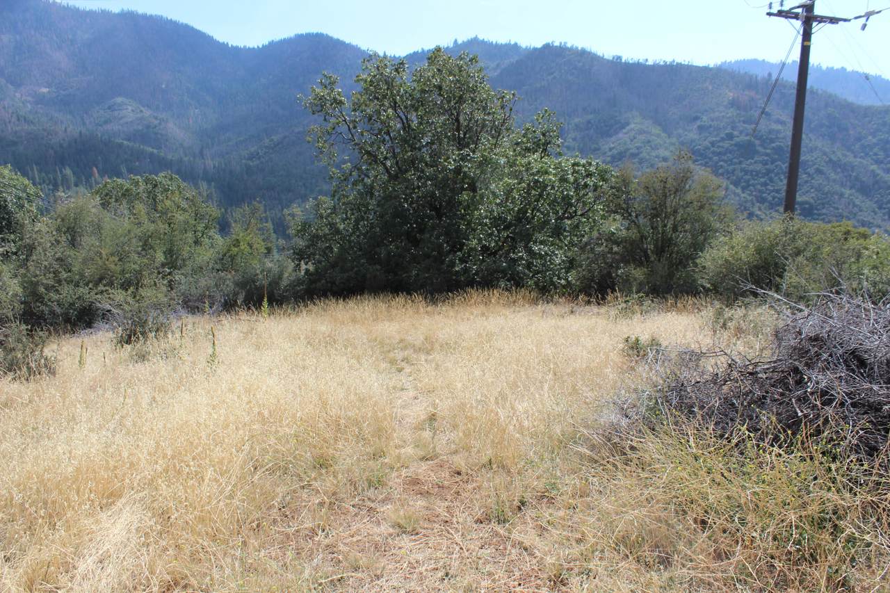 0 Highway 190 - Photo 1