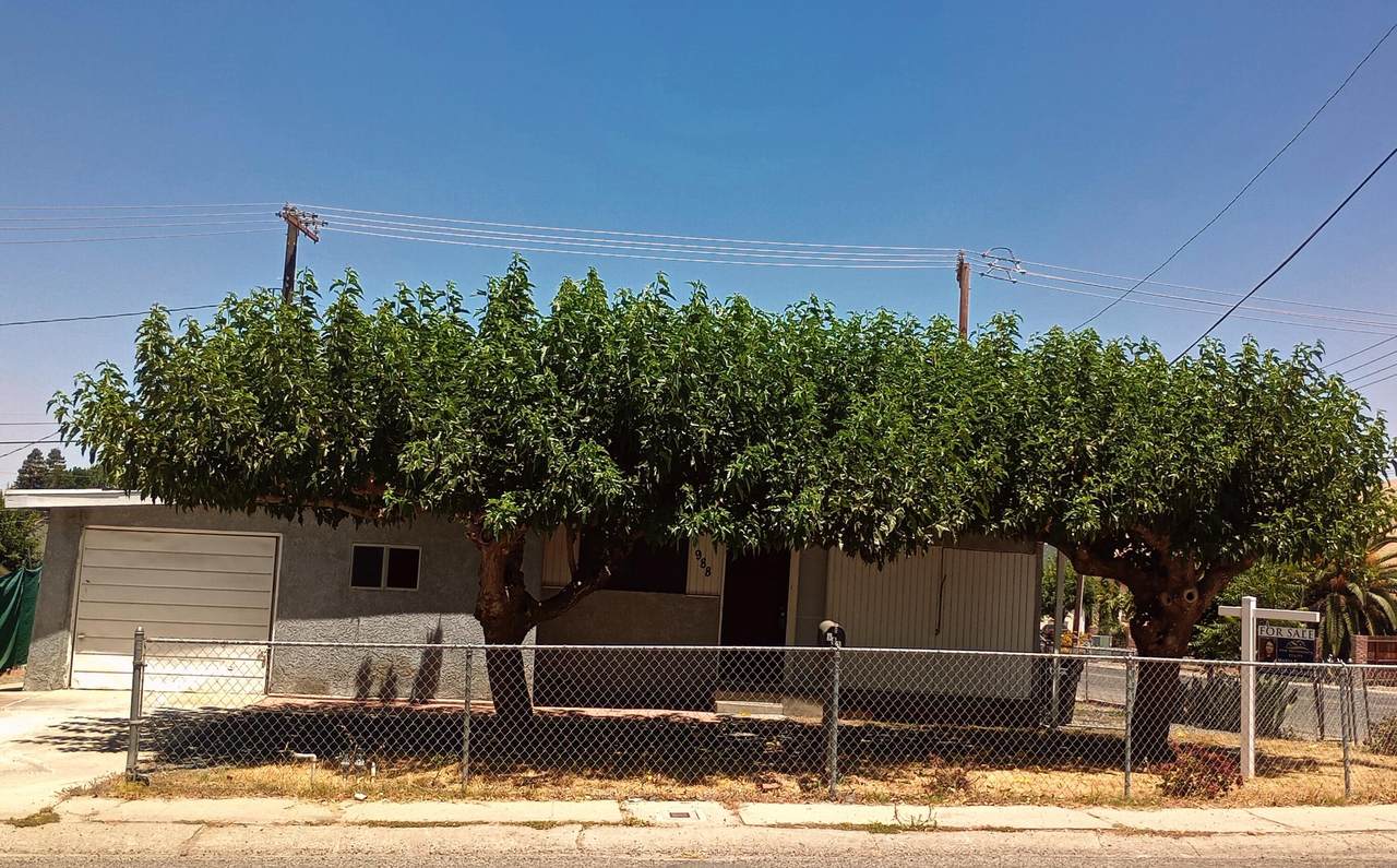988 Putnam Avenue - Photo 1