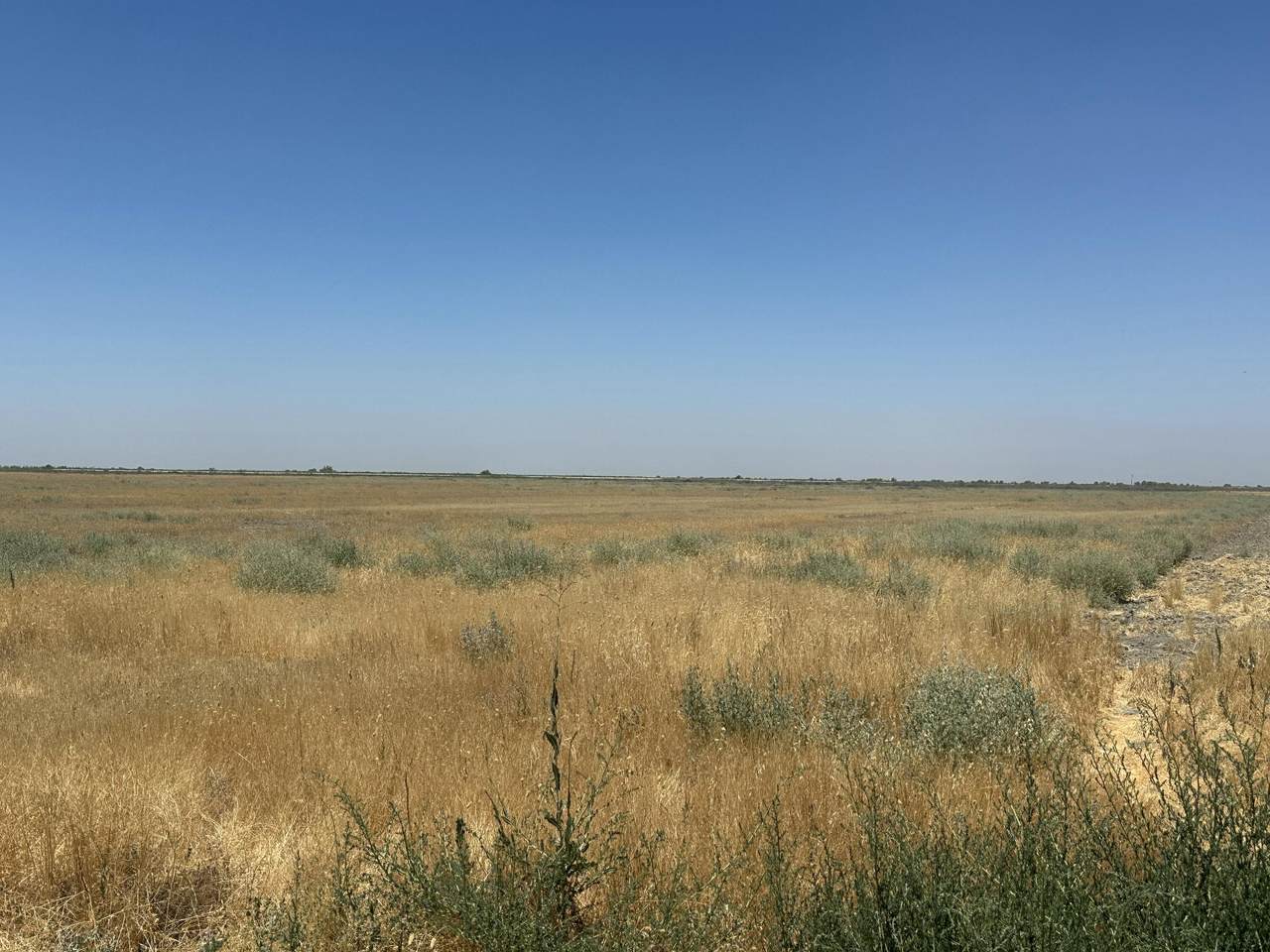 Ave 56 - Photo 1