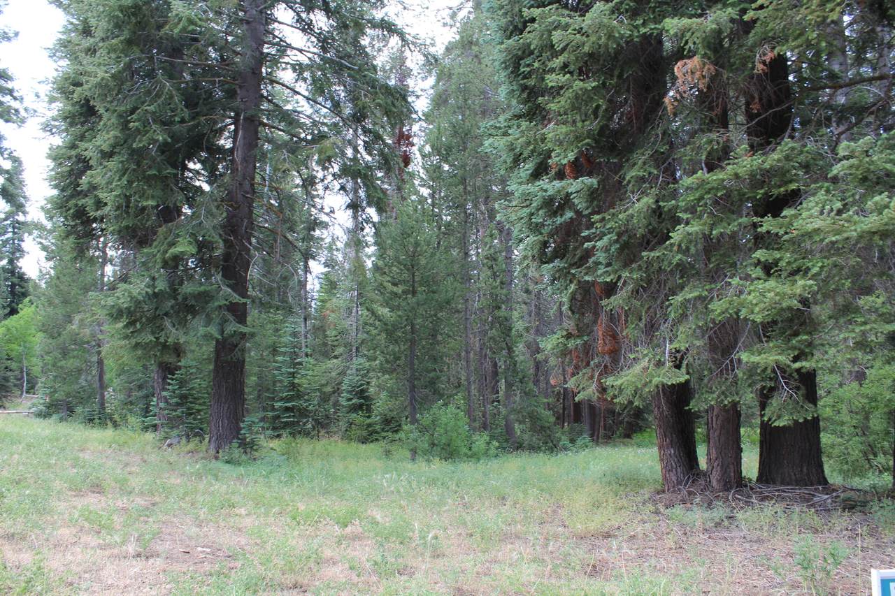 0 Aspen Drive - Photo 1