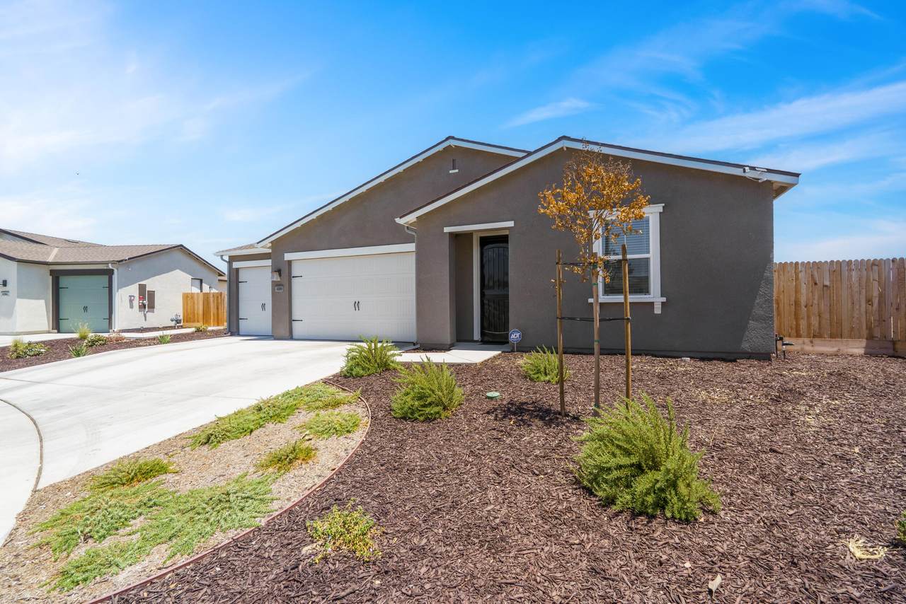 14300 Shady Tree Court - Photo 1