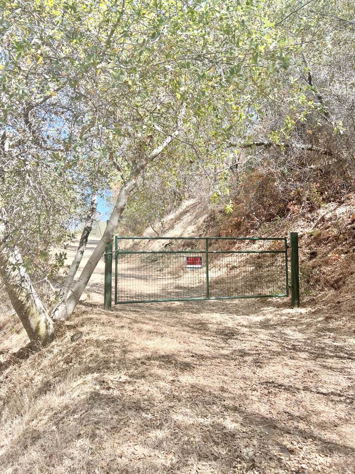 29012 Cassandra Road - Photo 1