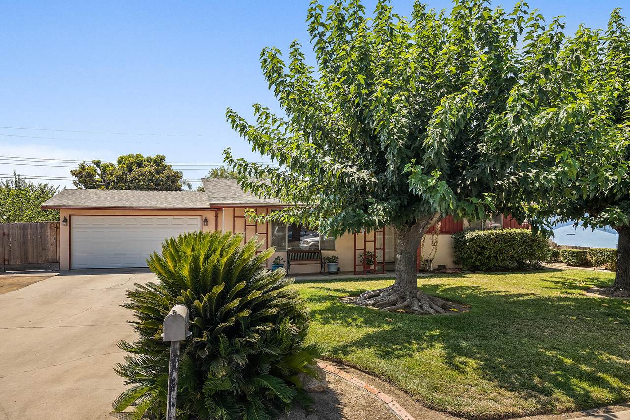 1025 Dove Drive - Photo 1