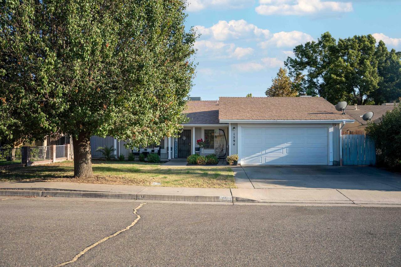 1594 Grapevine Drive - Photo 1