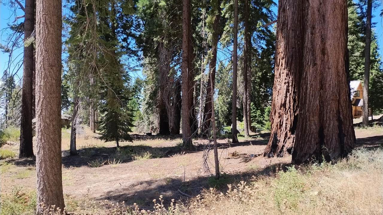 54534 Manzanita Drive - Photo 1