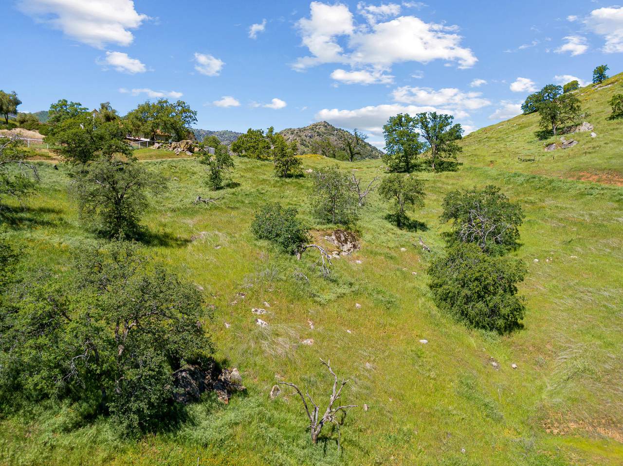  Black Oak Drive - Photo 1