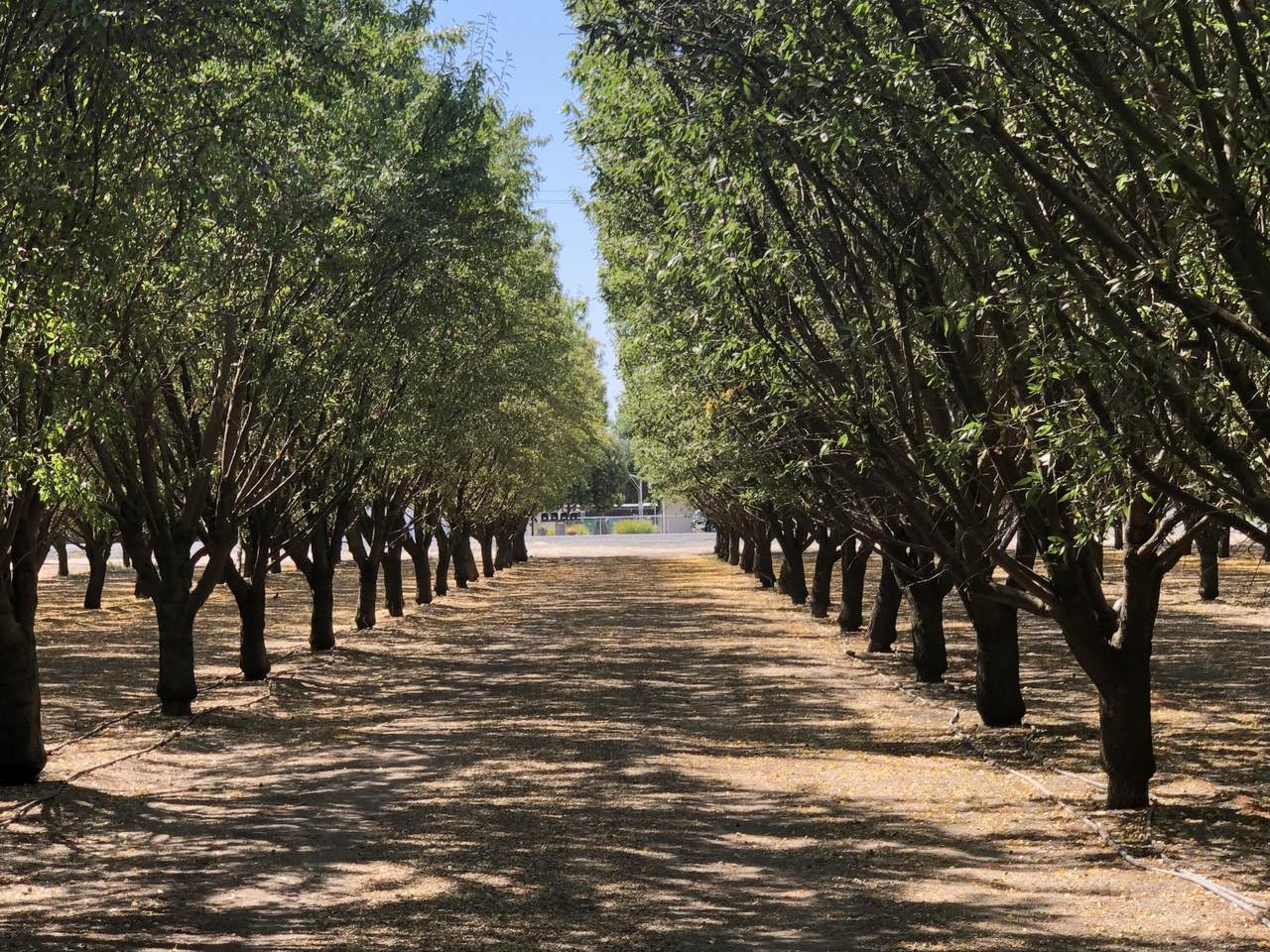 000 Marinette Avenue - Photo 1