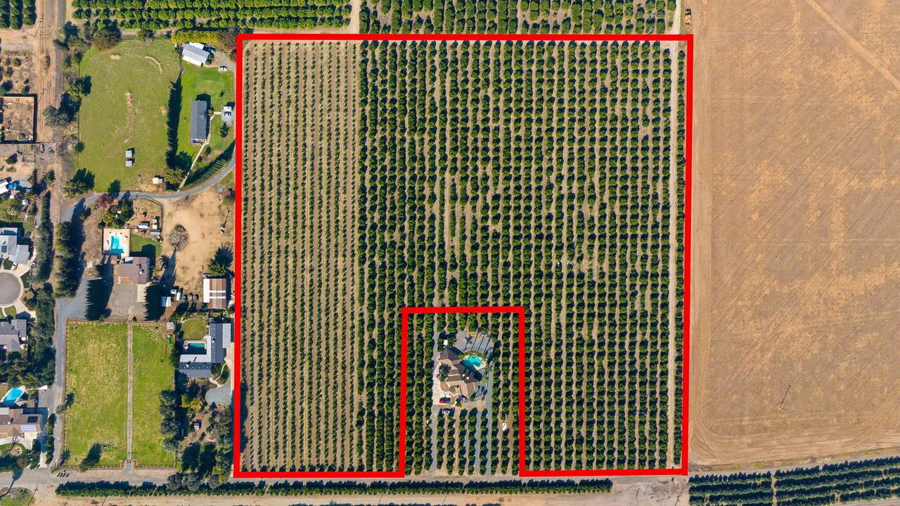 1435 Palm Drive - Photo 1