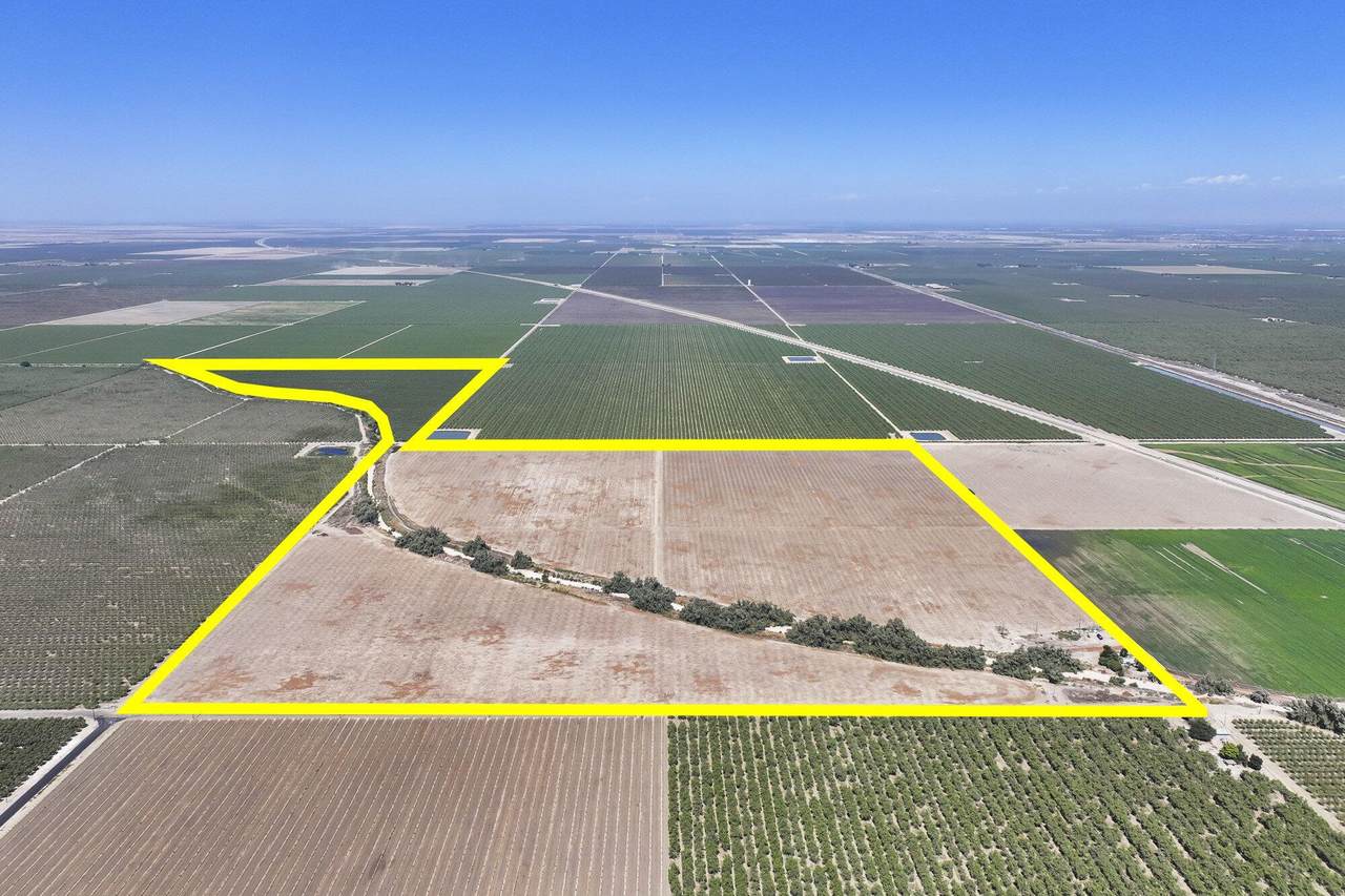  Palm Avenue - Photo 1