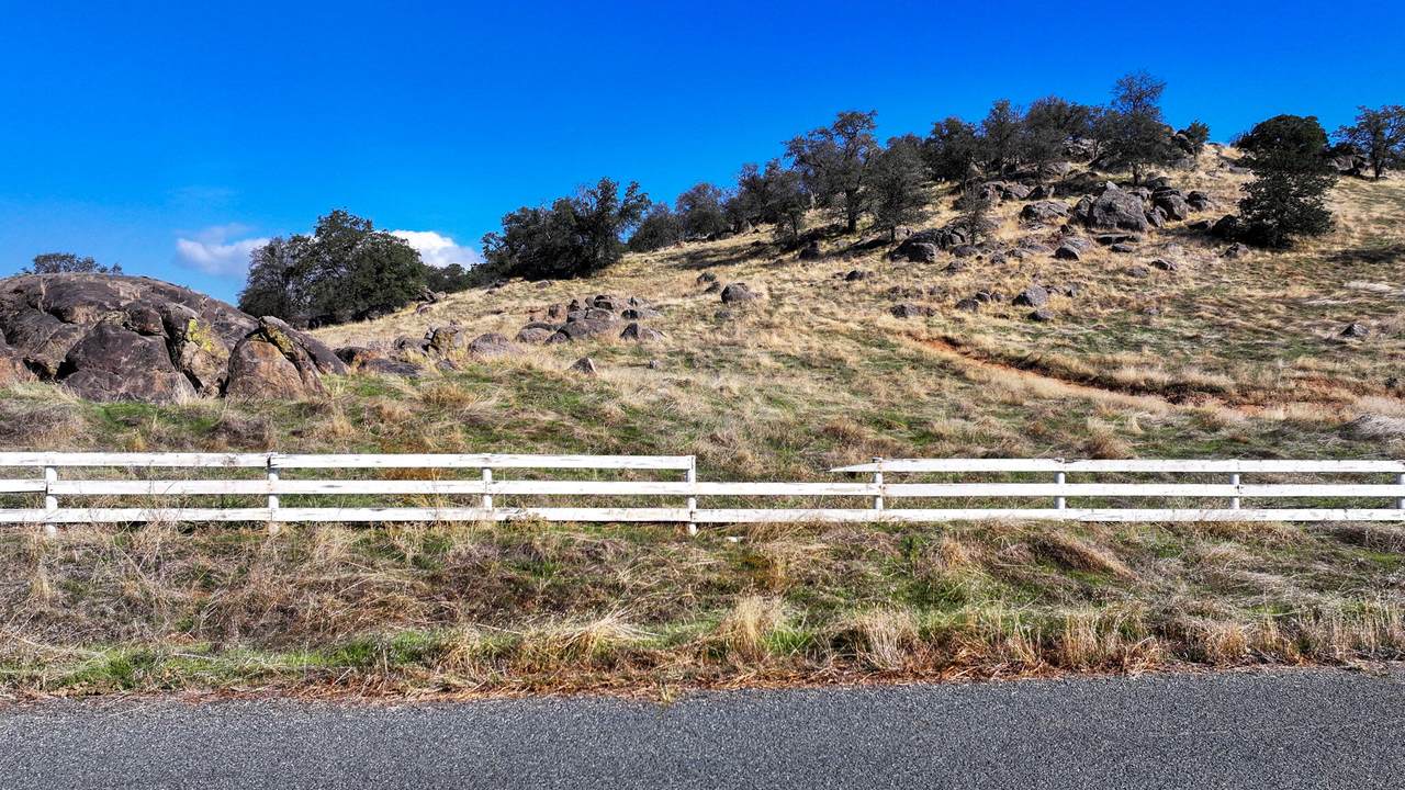  Coyote Drive - Photo 1