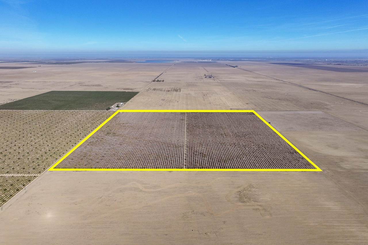 33571 Adams Avenue - Photo 1