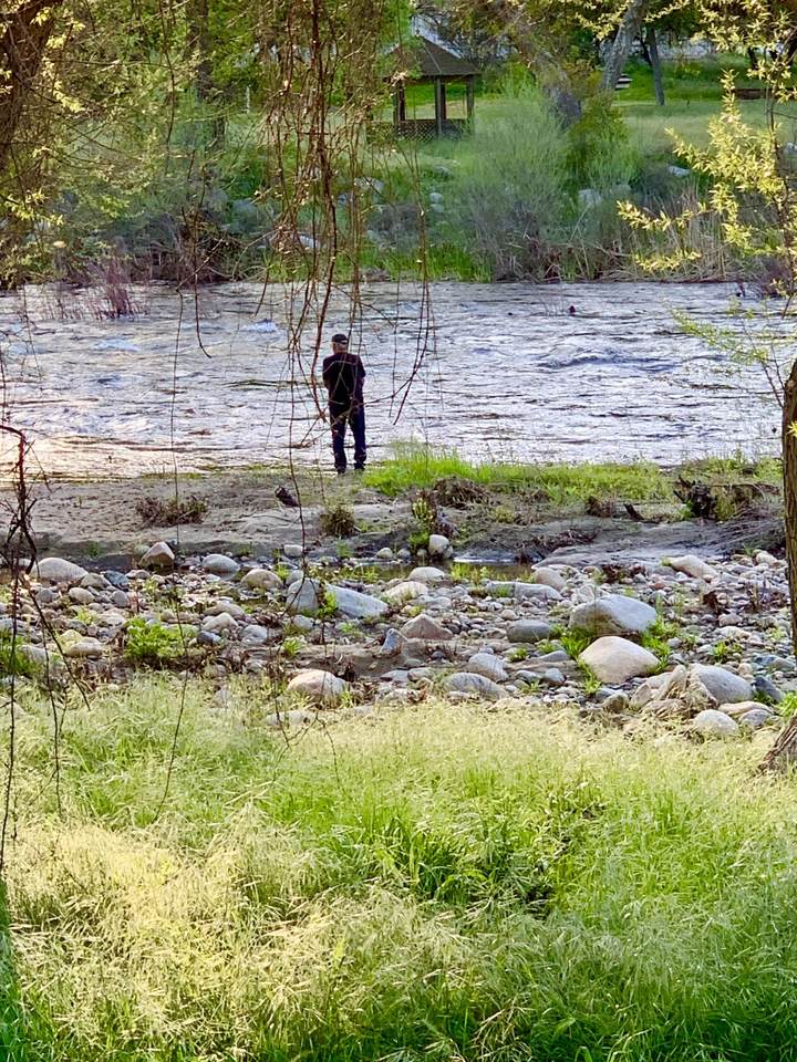 41811 Sierra Drive - Photo 1