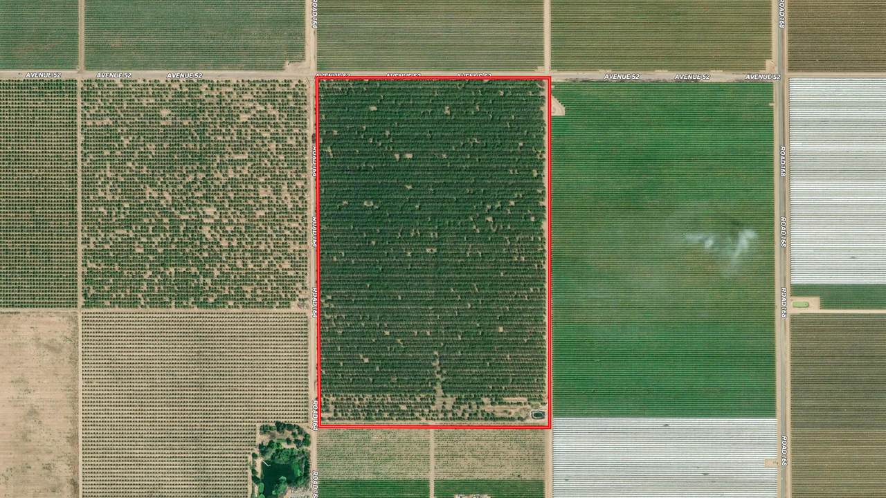  Ave 48 & Rd 164 - Photo 1