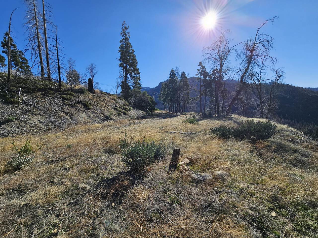  Circle Way Way - Photo 1