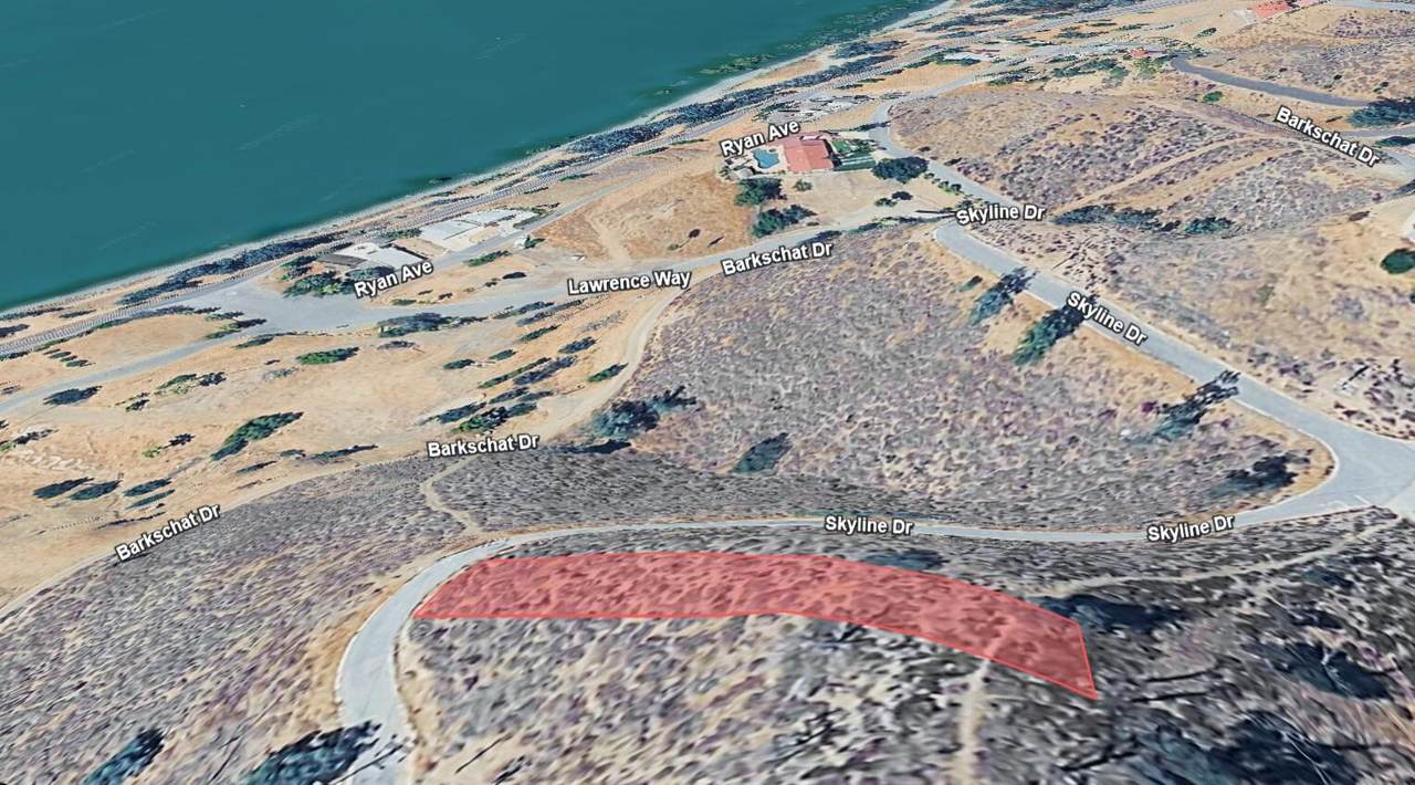  Skyline Drive - Photo 1