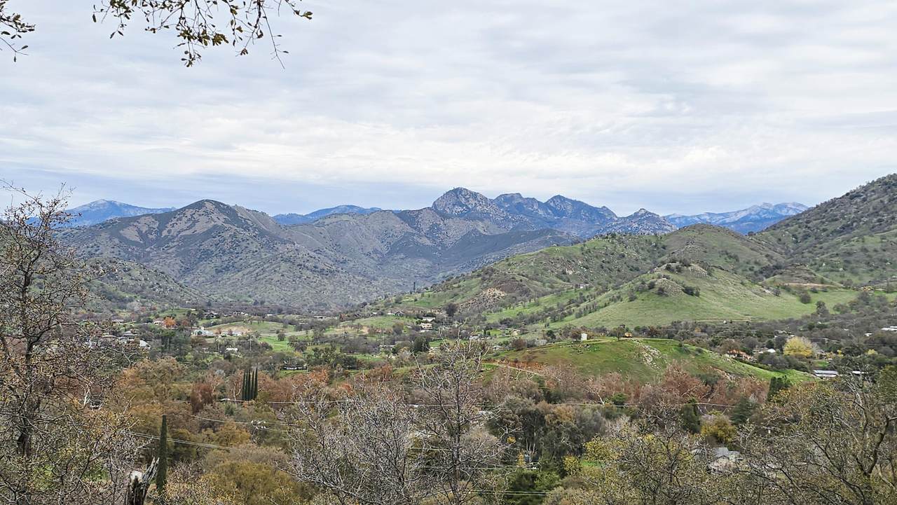 40838 Oak Ridge Drive - Photo 1