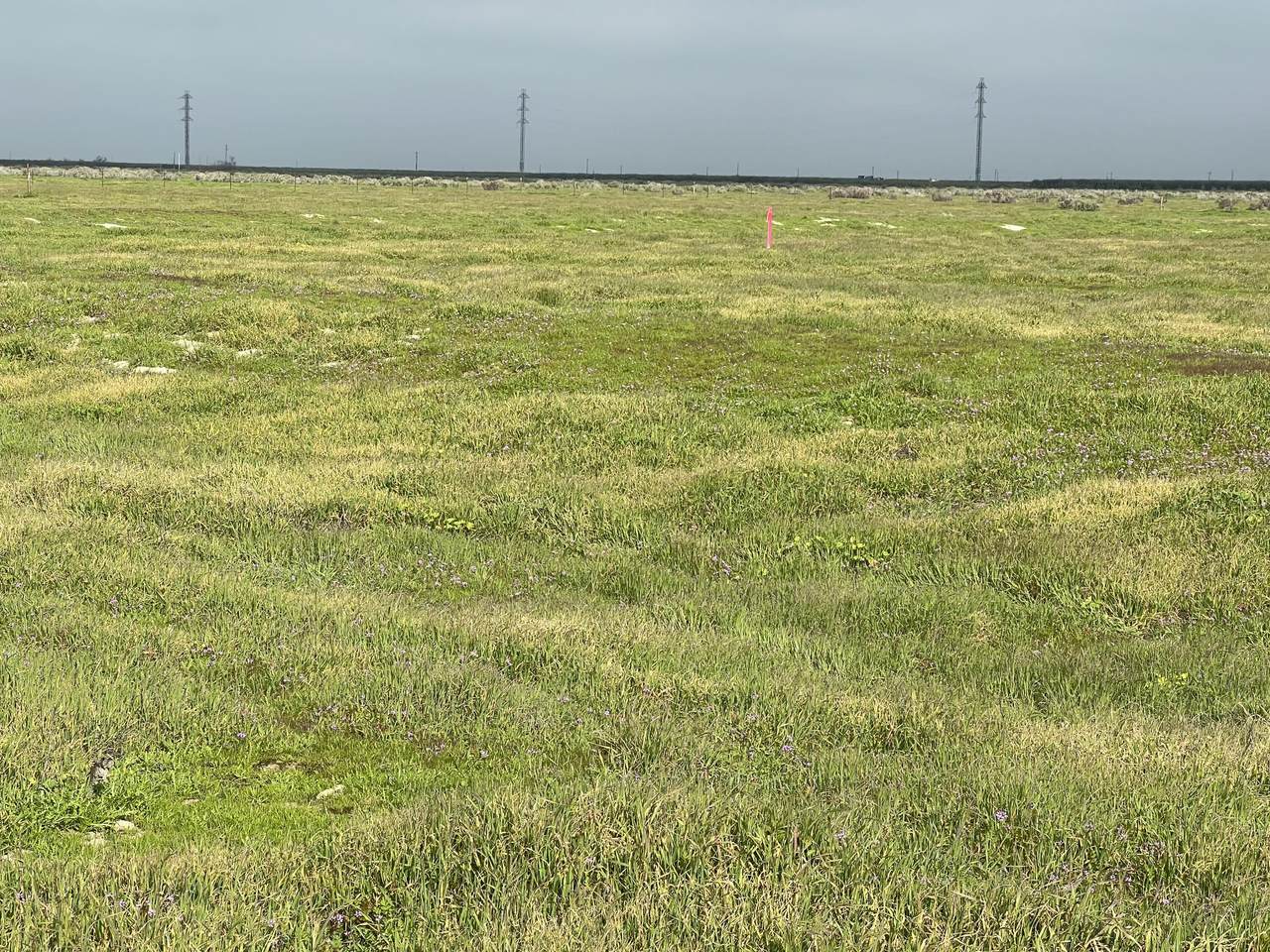 Lot #163 Track #1226 - Photo 1