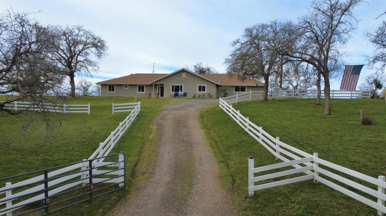 31602 Tumbleweed Lane - Photo 1