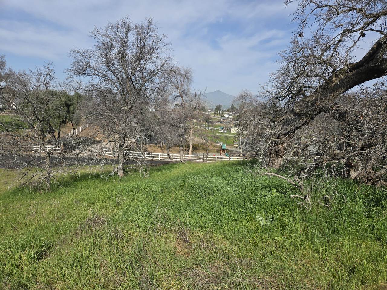 Lot 35 Mustang Drive - Photo 1