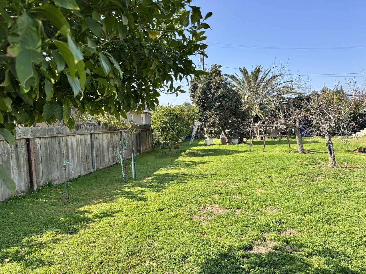 . Cornell Street - Photo 1