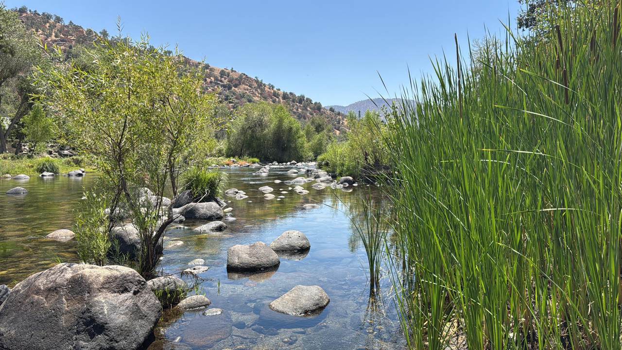  Kaweah River Drive - Photo 1