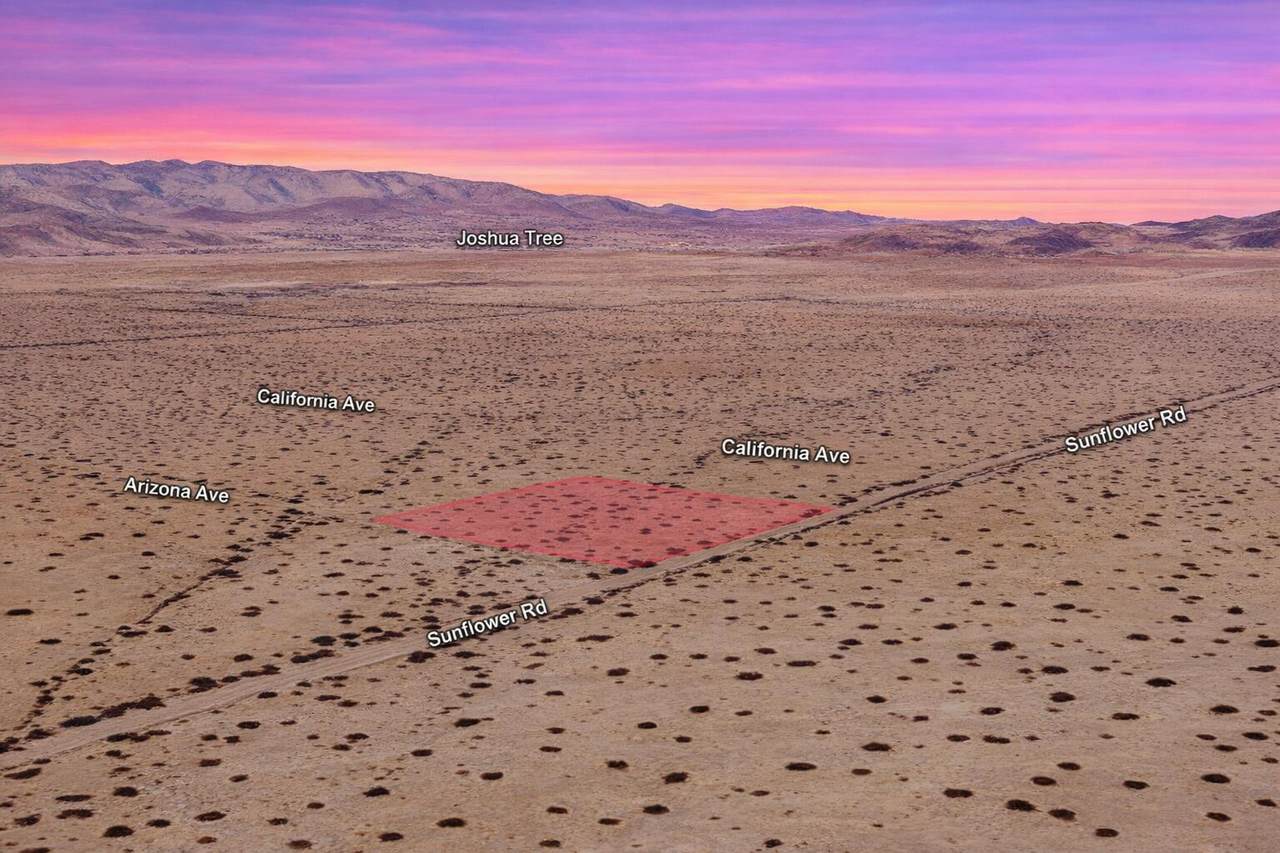  Arizona Avenue - Photo 1