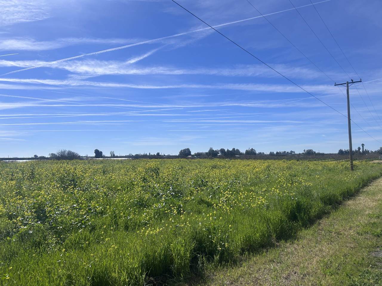 0 Avenue 88 Avenue - Photo 1